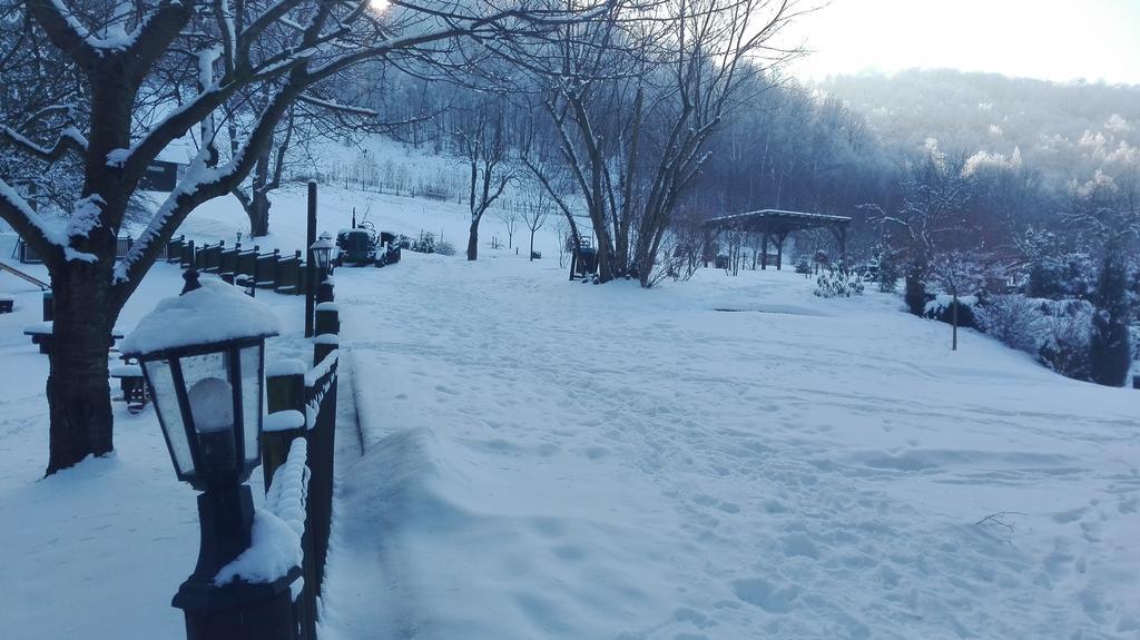 Bystrzyca Górna Chata Nad Sztolnia المظهر الخارجي الصورة